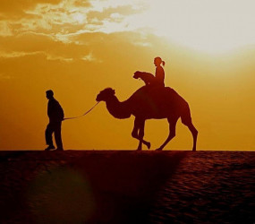 Оскар — самый знаменитый пёс путешественник в мире